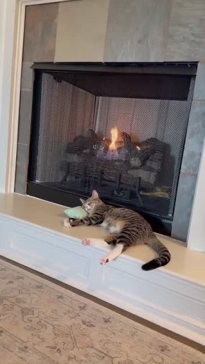 ������ ���������. ������ ������������ � ��������