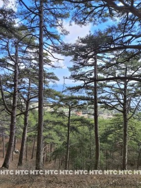 #���_�����. ������� �������� � ������� ��������� � ����� �� ����� �������