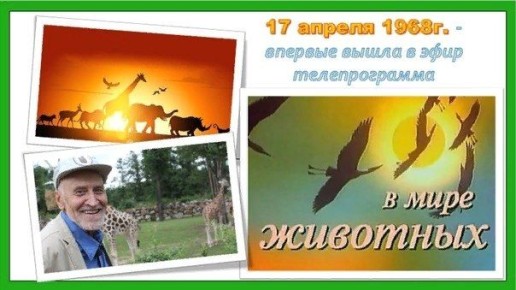 ��� ���� �������.... 17 ������ 1968 ���� �� ��������� ����������� ���������� �������� ������-����������� ����������� �� ���� ���������