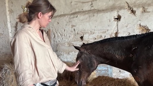 ������, ������� ���� �� ��������� � ������������