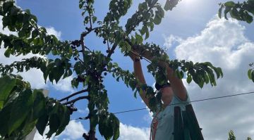 ���������� ��������� ����������� ���������� �� �������� ������� � ����������� �������