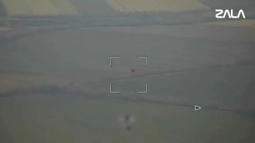 ������ ��� ZALA ������� ������ ���������� ��������� ����� ��� � ����������� �������