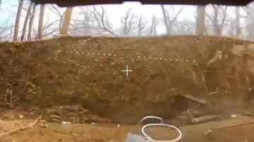 ������� ���������: ���������� ��� ����� � ����������� � ���������������� ��������