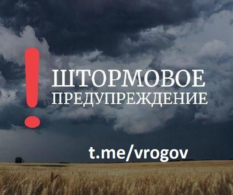 Осторожно: сильный дождь с грозой и ветром!