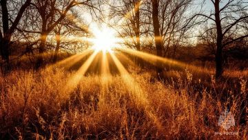 ���������� �������������� � ������� ���������������