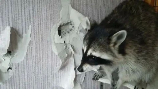 ������ ����, ������! �������� ��� ��� � ��������� ����������!