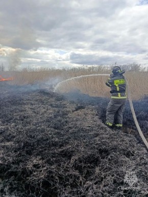 ����������� ���������� �� �����