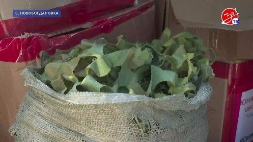 ��������� � ������. � ���� �������������� �������� ��������������� ��������� ������ ������������ �������� ������������ ������ � ����������������� ���� ������� �����