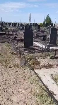 ������� ��������: ��������� ����� ���������������� ���� �� �������� ������ ������������