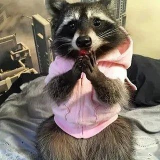 ������ ����, ������! �������� ��� ��� � ��������� ����������!