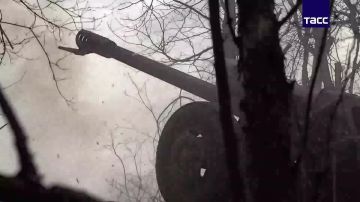 ��������� �������� ������� �������� ��������� ��������� � ����������� �������