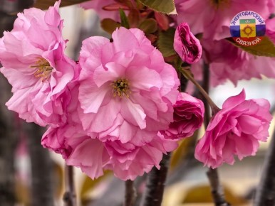 � ������ �����.. ���� ������������ �������� ���� ������� ���������� ���� � ������������ ���� �������� �������. ���� ������ ��� ��������� ���� ��� ����� ������