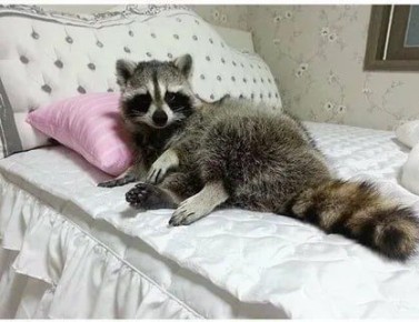 ������ ����, ������� ����������! ������ ����, ���������!