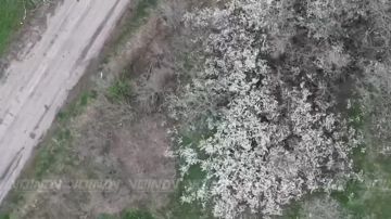 ��������� ��������� ������ ������ ���������� �� ����������� ����������� ����������� ���� 114 ������������ ��������������� ����� 127 ������� 5 ����� ����������� ����� "������"