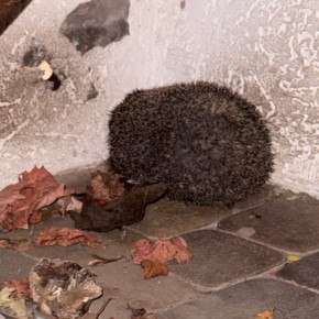 ��������� ����� �� ������ ����� ������ �� ��������� �����