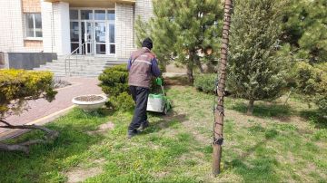 � ���������� ������������ �������� �� ���������������