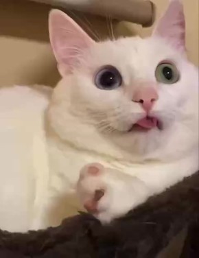 ��� � �����. ��������� ����� ������� �������� ���