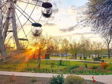 ������ ���� ������������