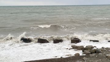 �� �������� ���� � ����������� ������� ����� ��������� ����� �� 20 �/�