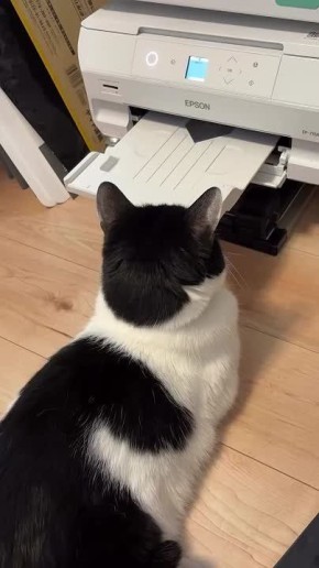 ����� ������� ������. �� � ���� �������������� � �����������