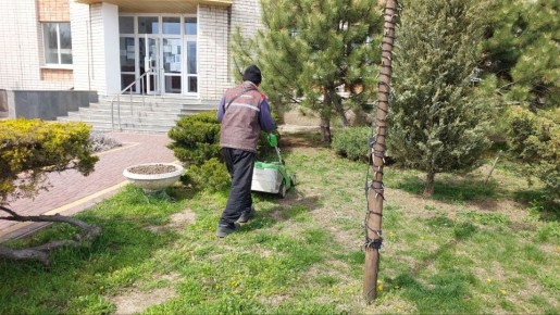 � ���������� ������������ �������� �� ���������������