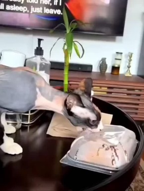 ���� ��������. ����� � ����� ������� � ���� �� ������