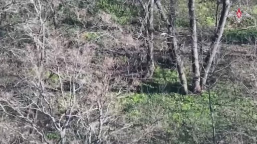 ���������� 245-�� ������������ ��������������� ����� ����������� ������ ���������� �������� ��� ��������� ������� ������������ � ����������� �������