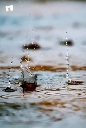 ������ �������� (���������� �����), 21.04.2026