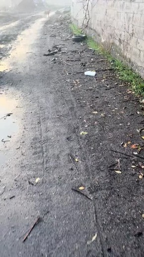 ���������� �� ����� �� �������� ������, ������� ���������� ������������ ������� ���