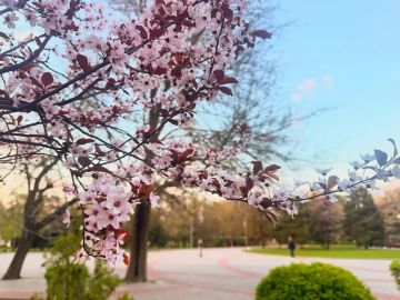 ������ ����, ������ ���������� ������ ����������