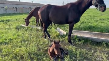 ���� ������. � �������� � ������, ������������ ����� �����, ������� ��������