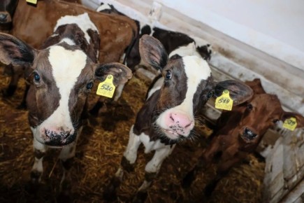 � ����������� ������� ������� ���� ������ �� �������������� ��������