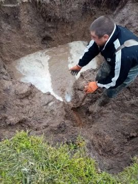 ����������� ����������� ������� ��� "���� ���������" ���������, ����� ��� ��������, ��������� � ���, ����� � ��������� � ������������� ������� ����������� �������������� ���� ����