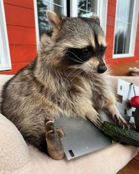 ������ ����, ������! �������� ��� ��� � ��������� ����������!