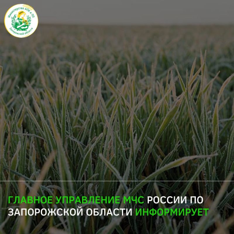 В Запорожской области продолжается мониторинг озимых культур для оценки состояния посевов В Запорожской области продолжается мониторинг озимых культур для оценки состояния посевов
