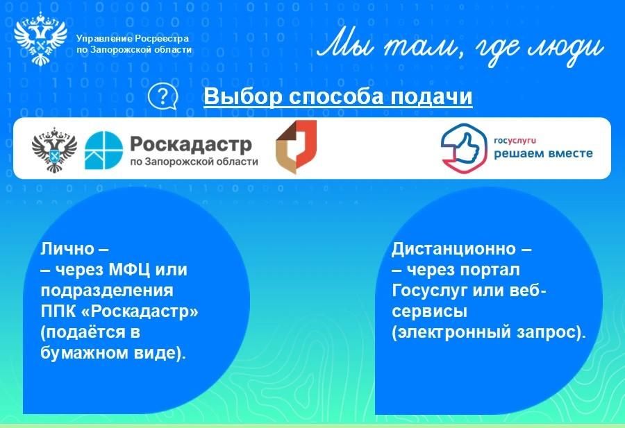 Как получить выписку из ЕГРН в Запорожской области Как получить выписку из ЕГРН в Запорожской области