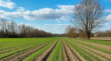 � ����������� ������� ������� ��������� �������