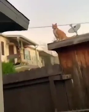 ��� � �����. ������� �����, � ����� ������ ������ ��������� ���