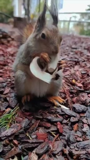 ������ �� ����������� �������� ��� �� ��������, ��� ���� �� ����