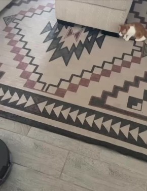 ����� � ��������� �������. �������� ���� � ������� � ������ �� ������