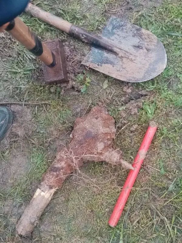 Специалисты Приморского участка ГУП "Вода Запорожья" ежедневно, порой без выходных, заботятся о том, чтобы в квартирах и домовладениях жителей Приморского муниципалитета была вода Специалисты Приморского участка ГУП "Вода Запорожья" ежедневно, порой без выходных, заботятся о том, чтобы в квартирах и домовладениях жителей Приморского муниципалитета была вода