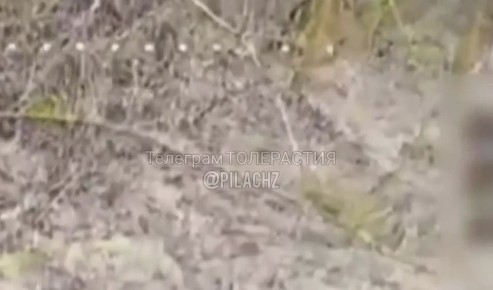 �������� FPV-����� �� �� ���������� ����� ���� ���������� � ���� ���