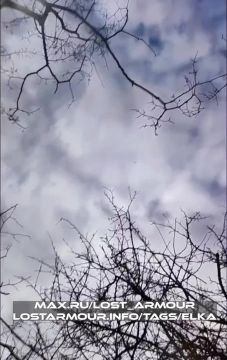 ����-��� "����" �������� ������� ���� ����������� ���� ��� �� ��������������� �����������