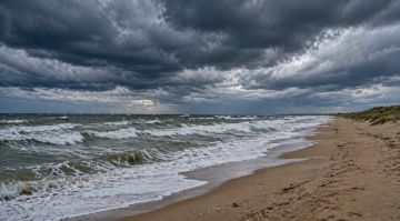 �� �������� ���� ��������� ��������� ��������������