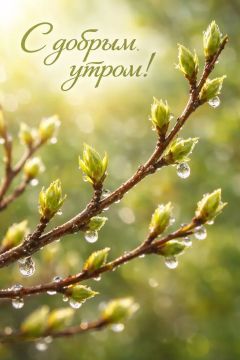 ������ ����. � �� �����, ��� �������