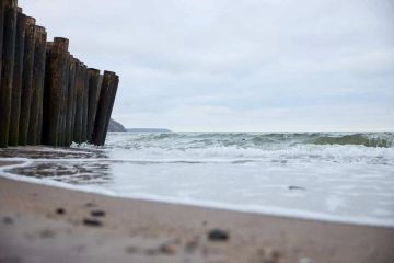 �� �������� ���� ������������ ����� �� 25 �/�