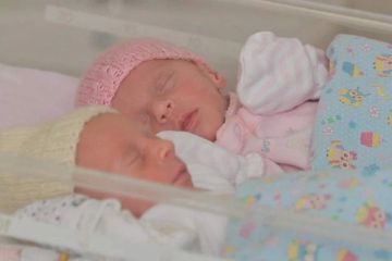 � ����������� ������� 22 ������ ��������� �� ���� ����� �����