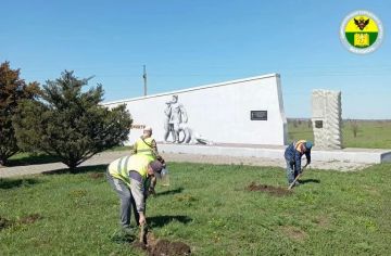 ������������� ���������� ������ ���������� ���������� ��������������� �������� ����