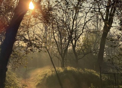 ������ ����. �������������� �� ����� ������������� � MAX