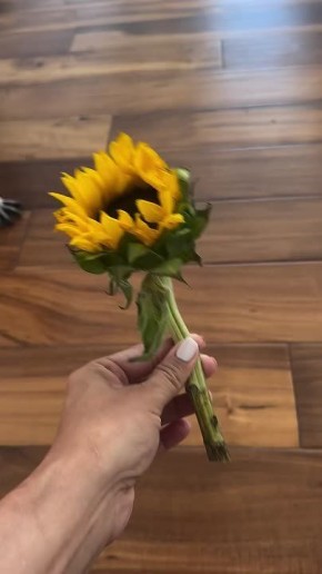 ������ ����, ������! �������� ��� ��� � ��������� ����������!